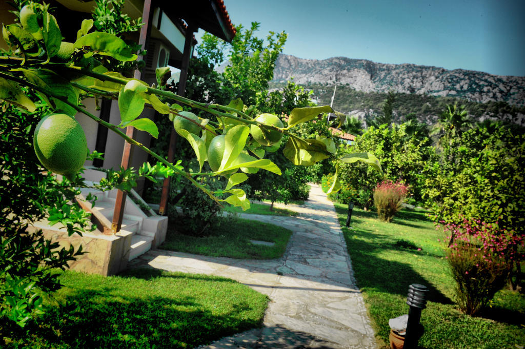 Nerissa Hotel Cirali Bagian luar foto